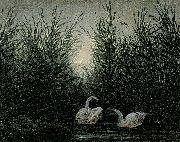 Caspar David Friedrich Schwane im Schilf Sweden oil painting artist